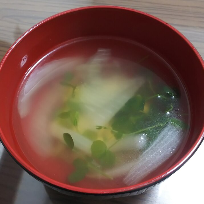 豆苗と玉ねぎと大豆のコンソメスープ